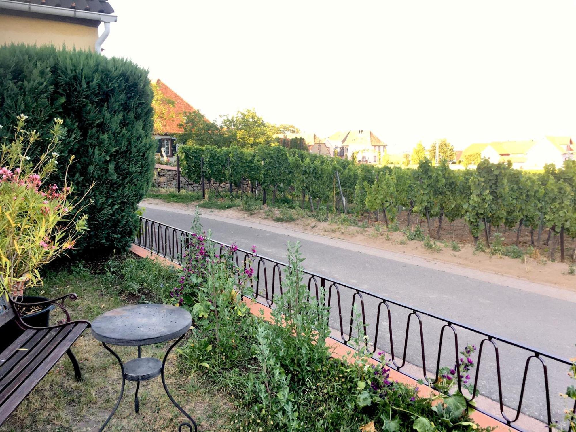 Ferienwohnung Suedpfalzblick Burrweiler Eksteriør bilde