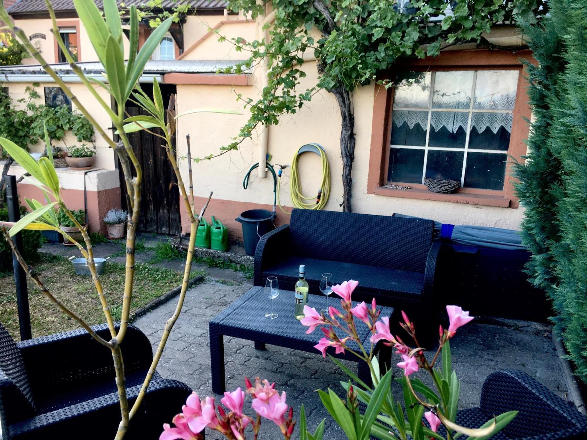 Ferienwohnung Suedpfalzblick Burrweiler Eksteriør bilde